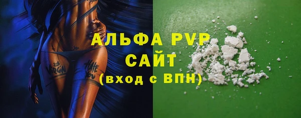 трава Белокуриха