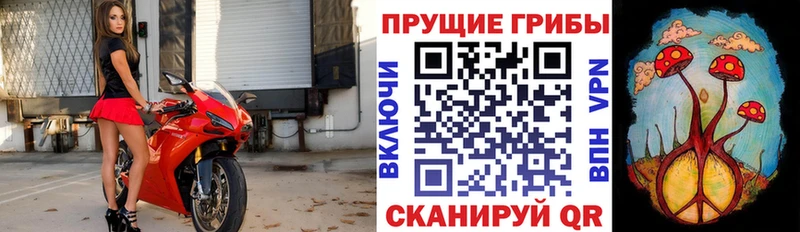 Галлюциногенные грибы Magic Shrooms купить Верещагино