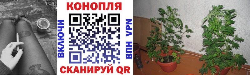 купить закладку  Верещагино  Марихуана OG Kush 